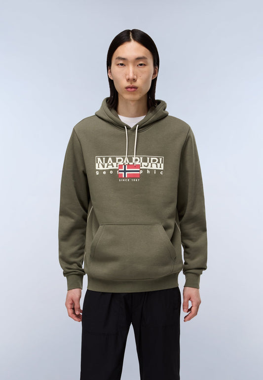 Napapijri Aylmer Felpa con cappuccio Green Urban
