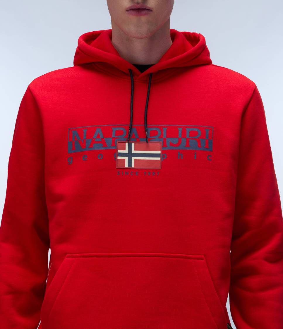 Napapijri Aylmer Felpa con cappuccio Red Goji